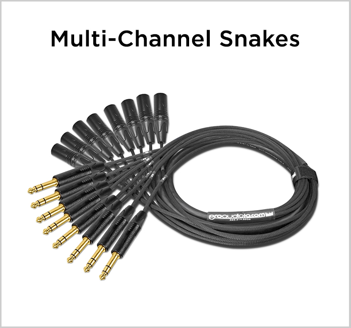Multi-Channel Snakes