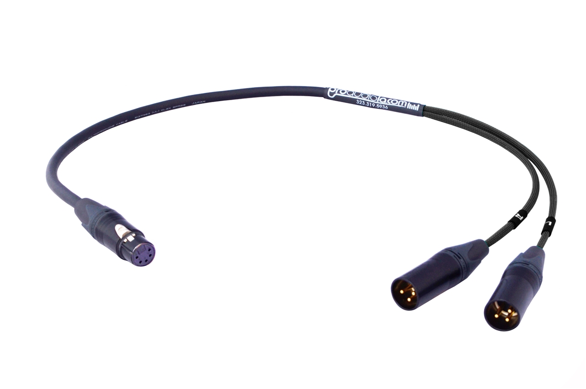 detective perecer Fusión Stereo Microphone Cable | XLR-Female 5 Pin to Dual XLR-Male 3 Pin | Made  from Mogami 2930 & Neutrik Gold Connectors | Pro Audio LA